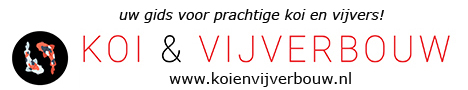 Ballenkoning